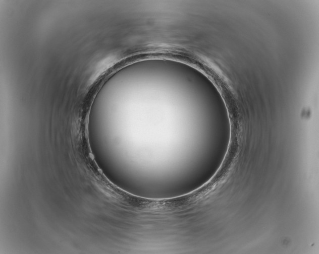 X0000091301259200708101300