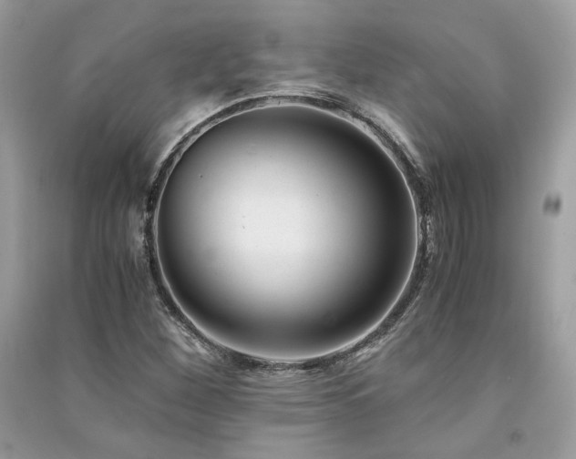 X0000091301260200708101300