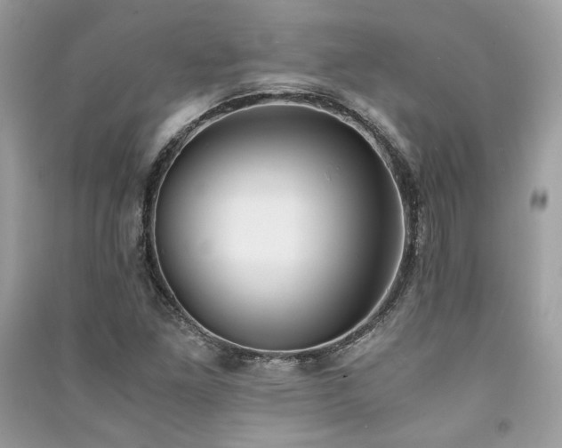 X0000091301261200708101300