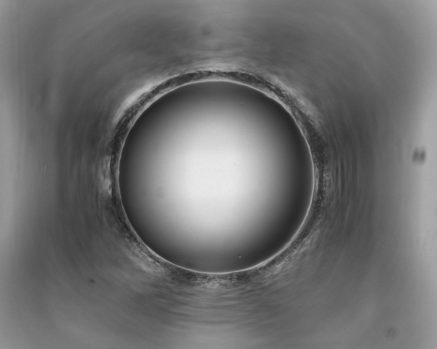 X0000091301262200708101300