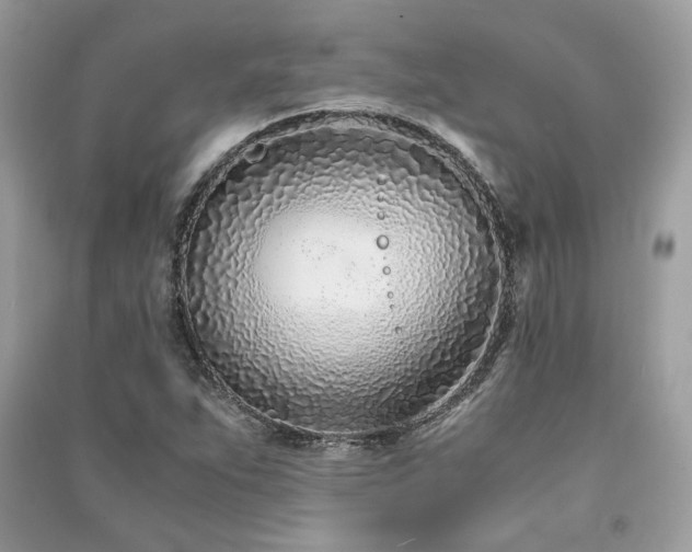 X0000091301263200708101300