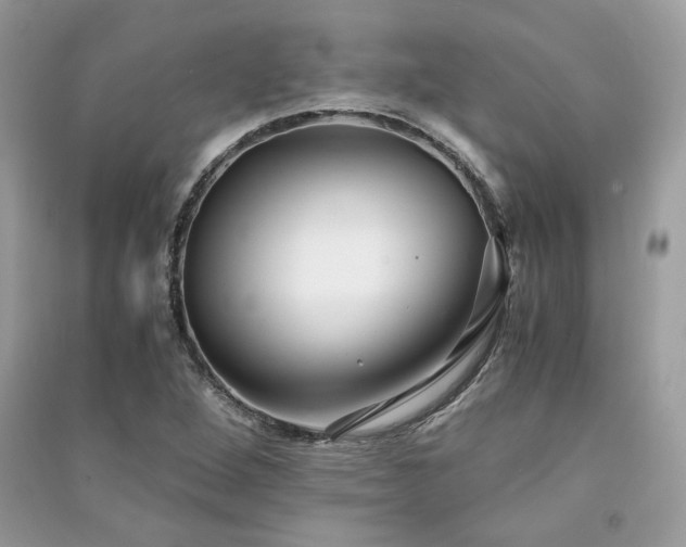X0000091301264200708101300