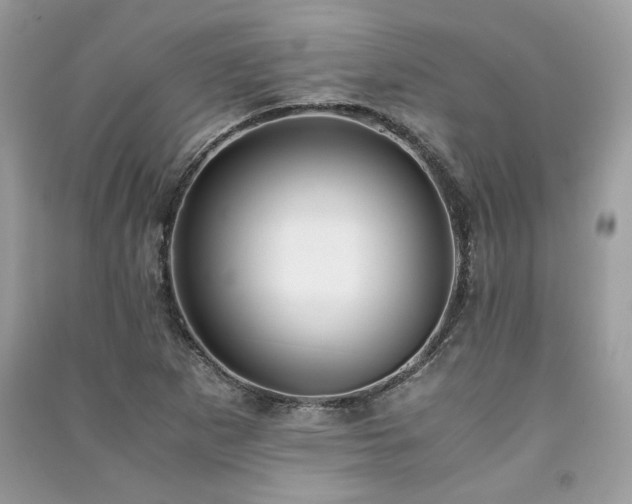 X0000091301265200708101300