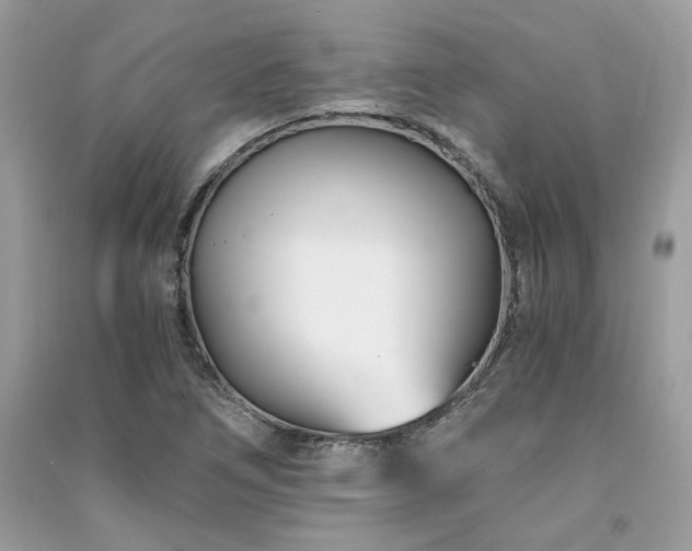 X0000091301266200708101300