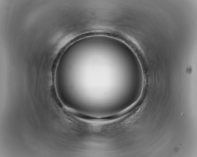 X0000091301267200708101300