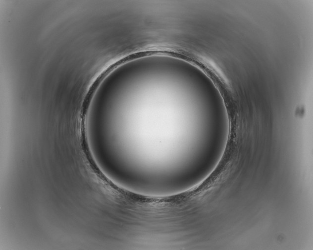 X0000091301268200708101300