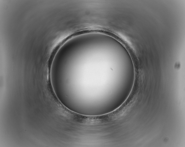 X0000091301269200708101300
