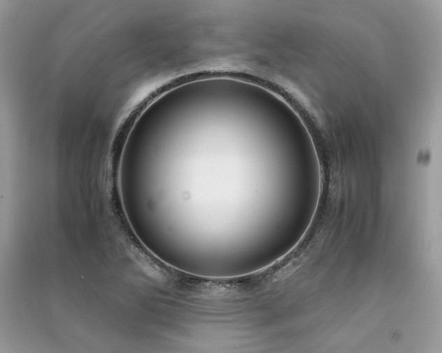 X0000091301270200708101300