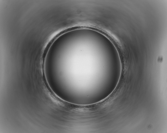 X0000091301272200708101300