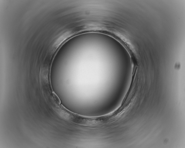 X0000091301273200708101300