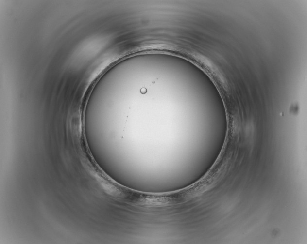 X0000091301274200708101300