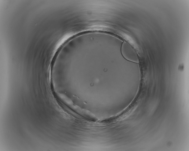 X0000091301275200708101300