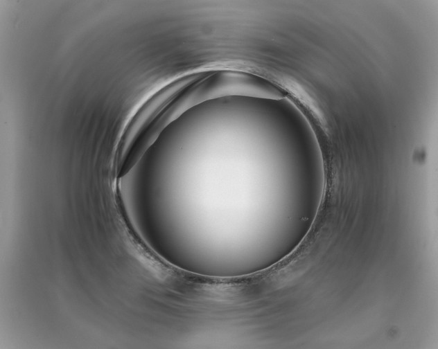 X0000091301276200708101300