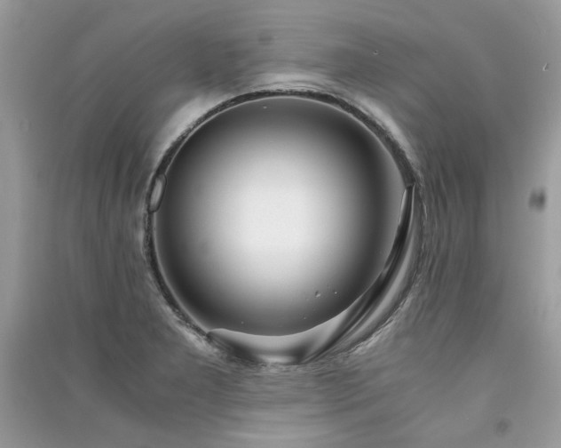 X0000091301277200708101300