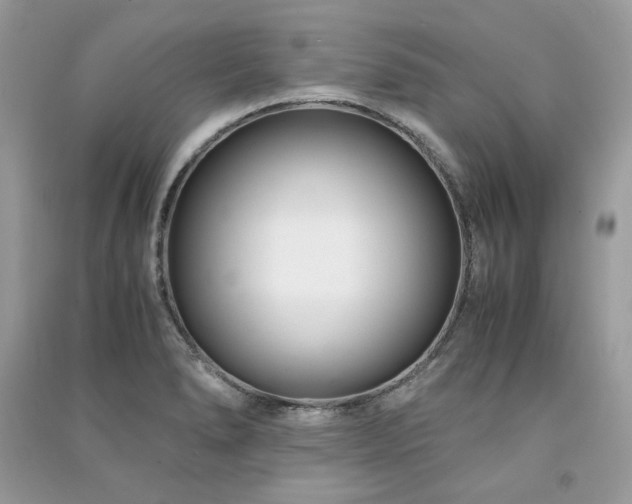 X0000091301278200708101300