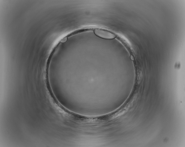 X0000091301279200708101300