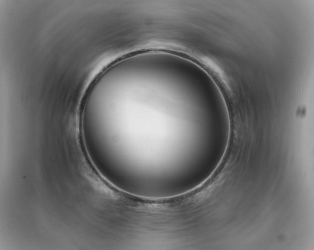 X0000091301280200708101300