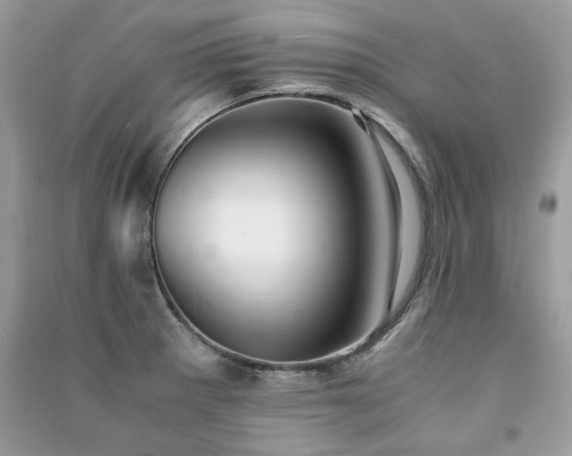 X0000091301281200708101300