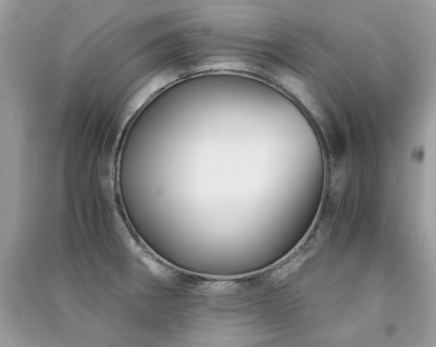 X0000091301282200708101300