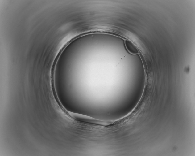 X0000091301283200708101300