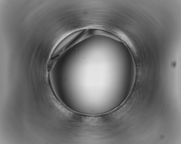 X0000091301284200708101300