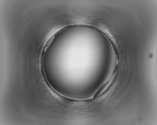X0000091301285200708101300