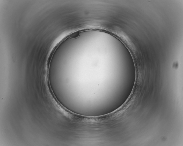 X0000091301286200708101300