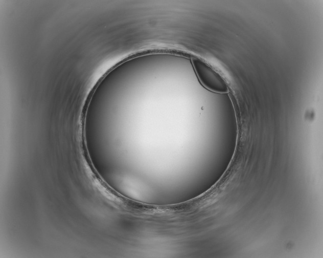 X0000091301287200708101300