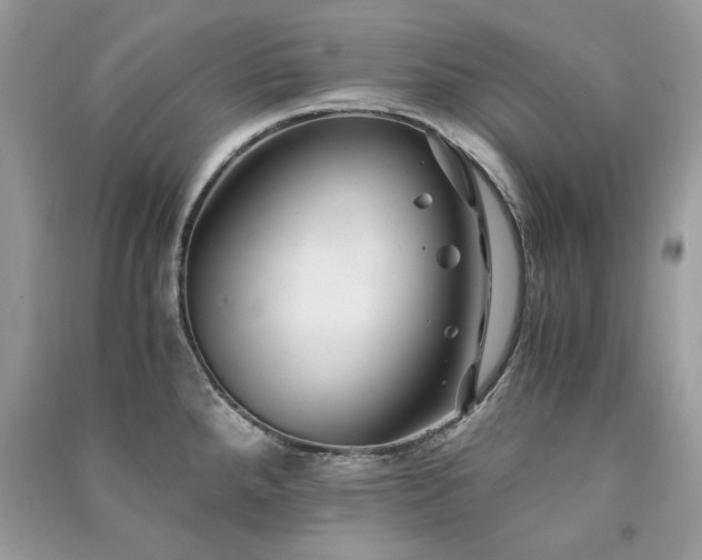 X0000091301288200708101300