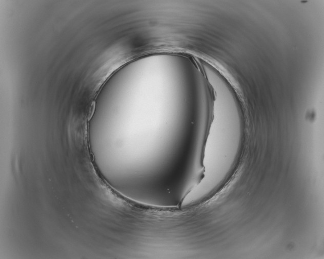 X0000091301289200708101300
