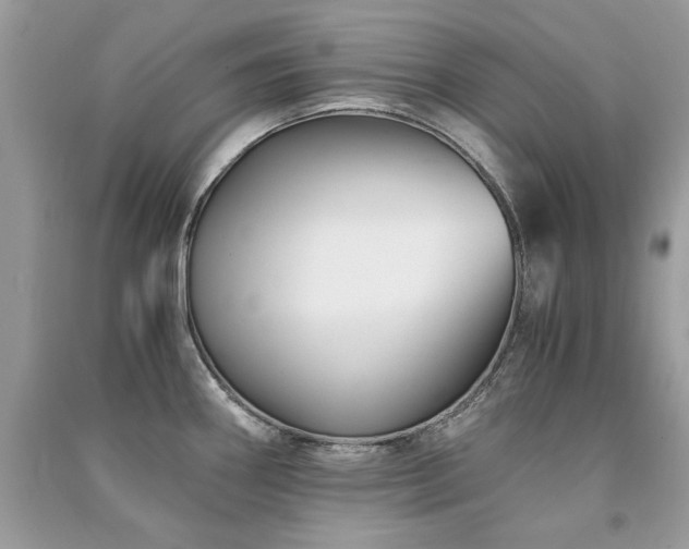 X0000091301290200708101300