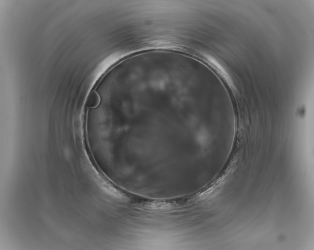 X0000091301291200708101300