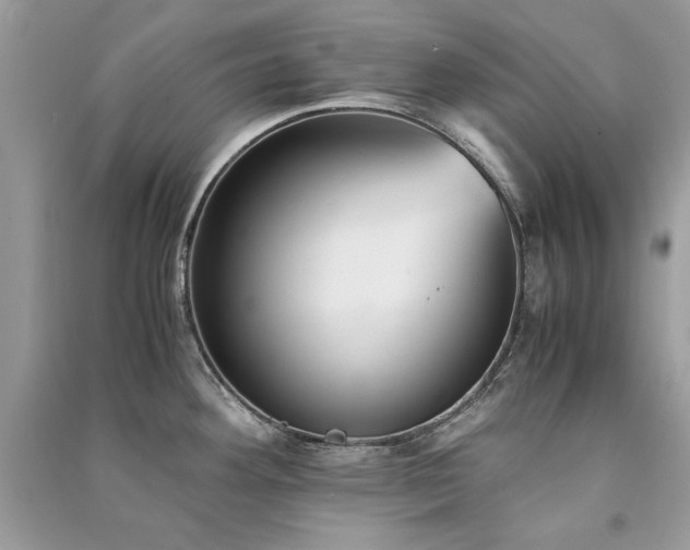 X0000091301292200708101300