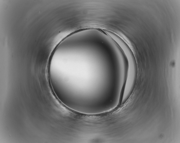 X0000091301293200708101300