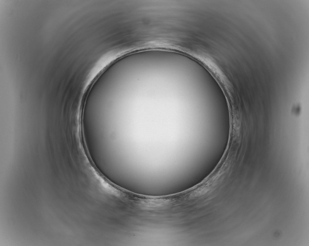 X0000091301294200708101300