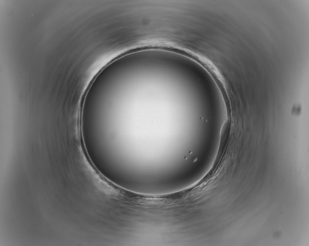 X0000091301295200708101300