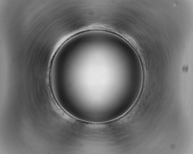 X0000091301296200708101300