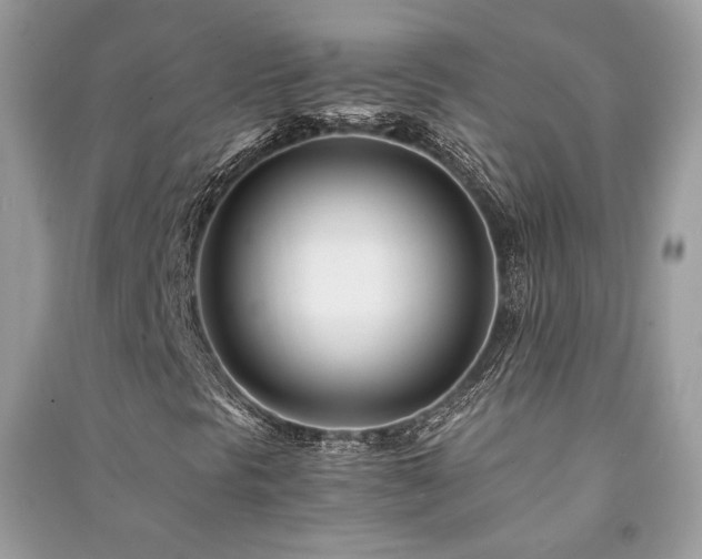 X0000091301297200708101259