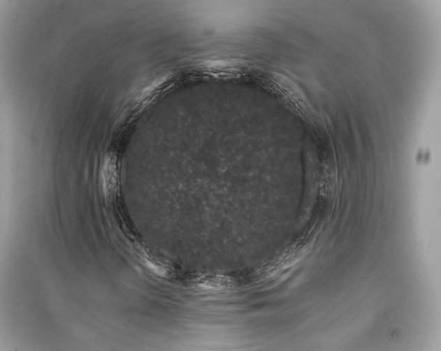 X0000091301298200708101259