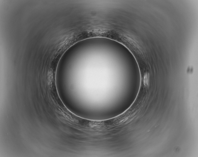 X0000091301299200708101259