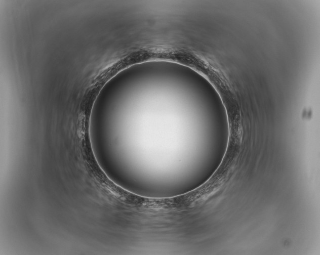 X0000091301301200708101259