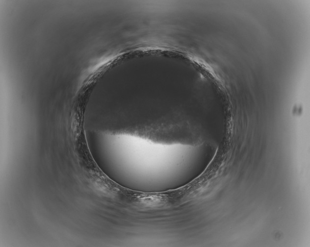 X0000091301303200708101259