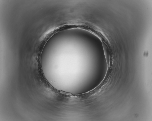 X0000091301304200708101259