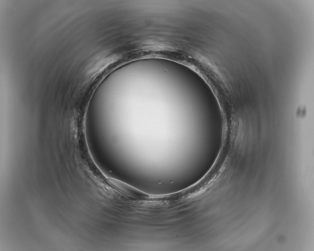 X0000091301305200708101259