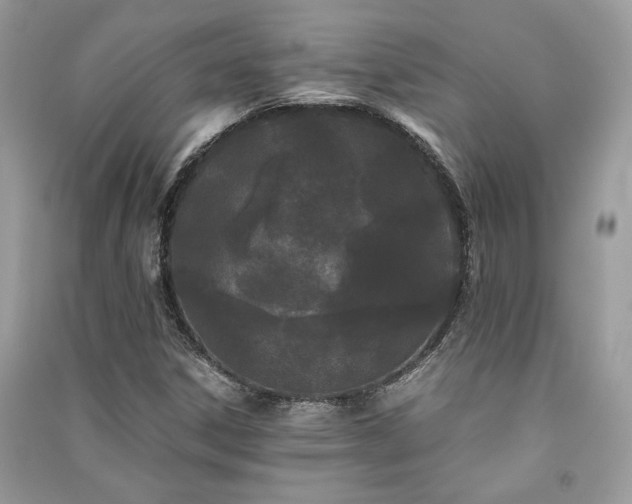 X0000091301306200708101259