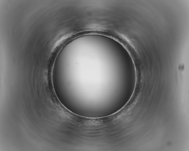 X0000091301307200708101259