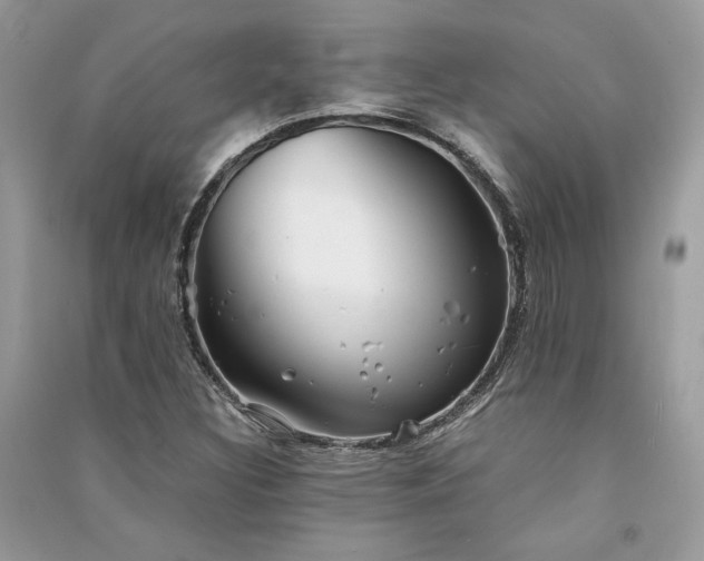 X0000091301308200708101259