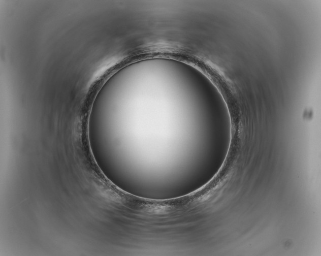 X0000091301309200708101259