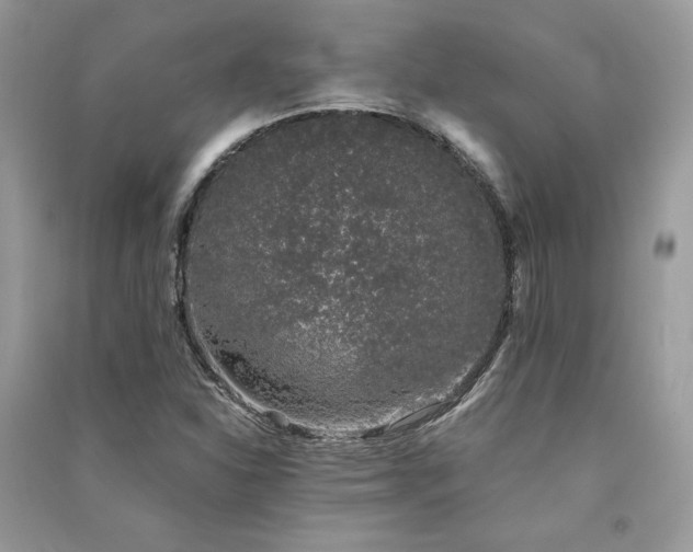 X0000091301310200708101259