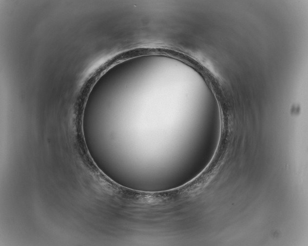 X0000091301311200708101259